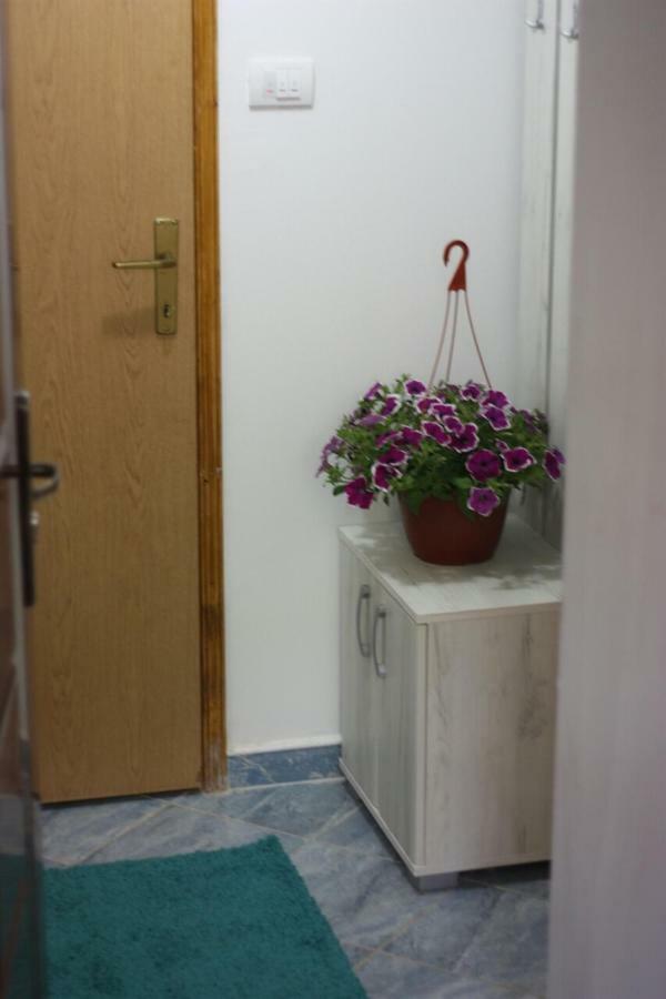 Apartment Voortex تريبينيي المظهر الخارجي الصورة