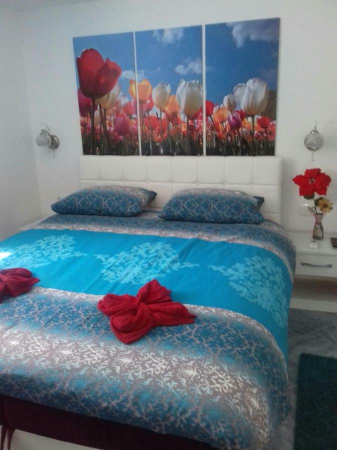 Apartment Voortex تريبينيي المظهر الخارجي الصورة