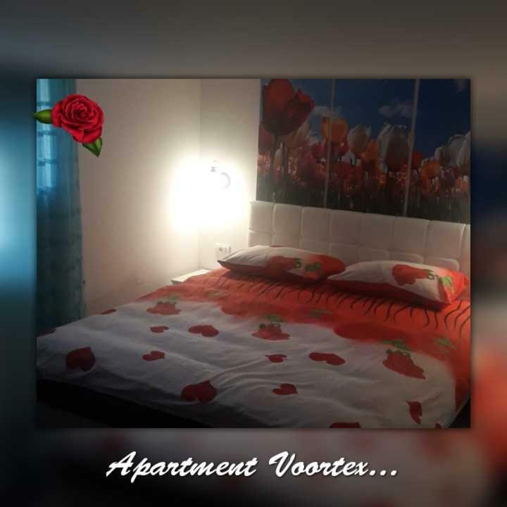 Apartment Voortex تريبينيي المظهر الخارجي الصورة
